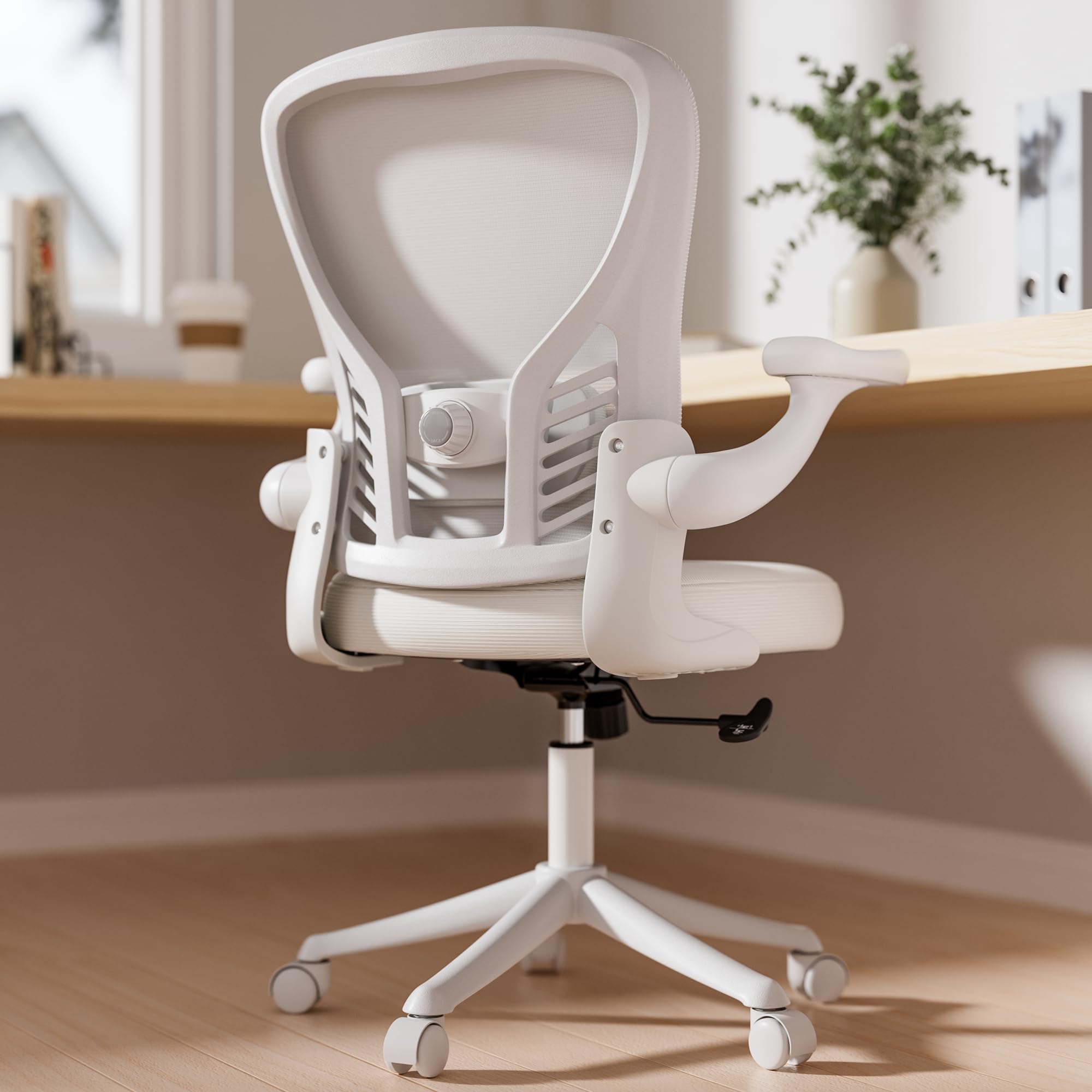 GYI Office Chair Ergonomic, Computer Desk Chair with Mesh Back, Adjustable Lumbar Support, 3D Flip-up Arms, Wheels, All White