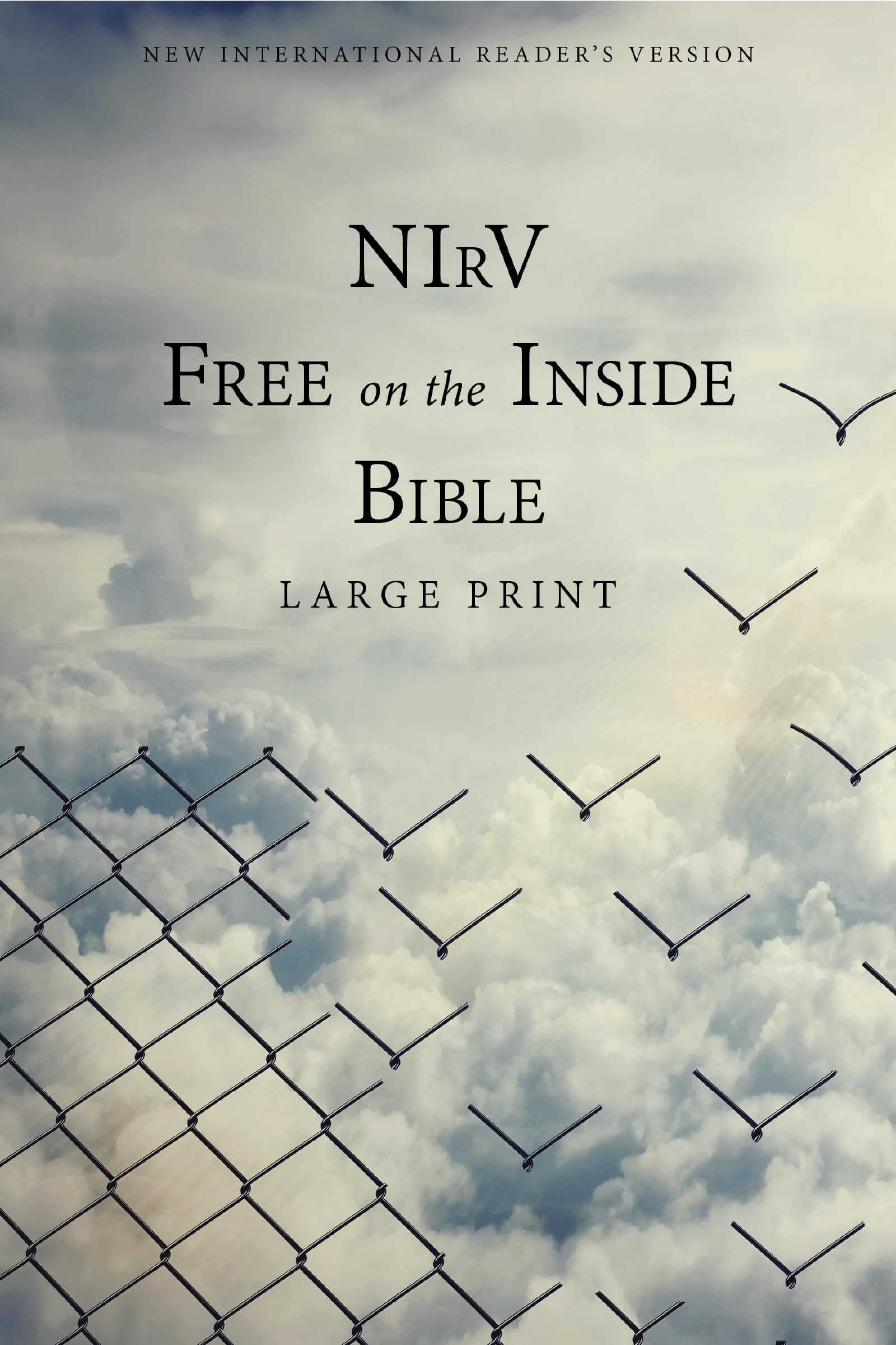 NIrV, Free on the Inside Bible, Large Print, Paperback: New International Readers Version