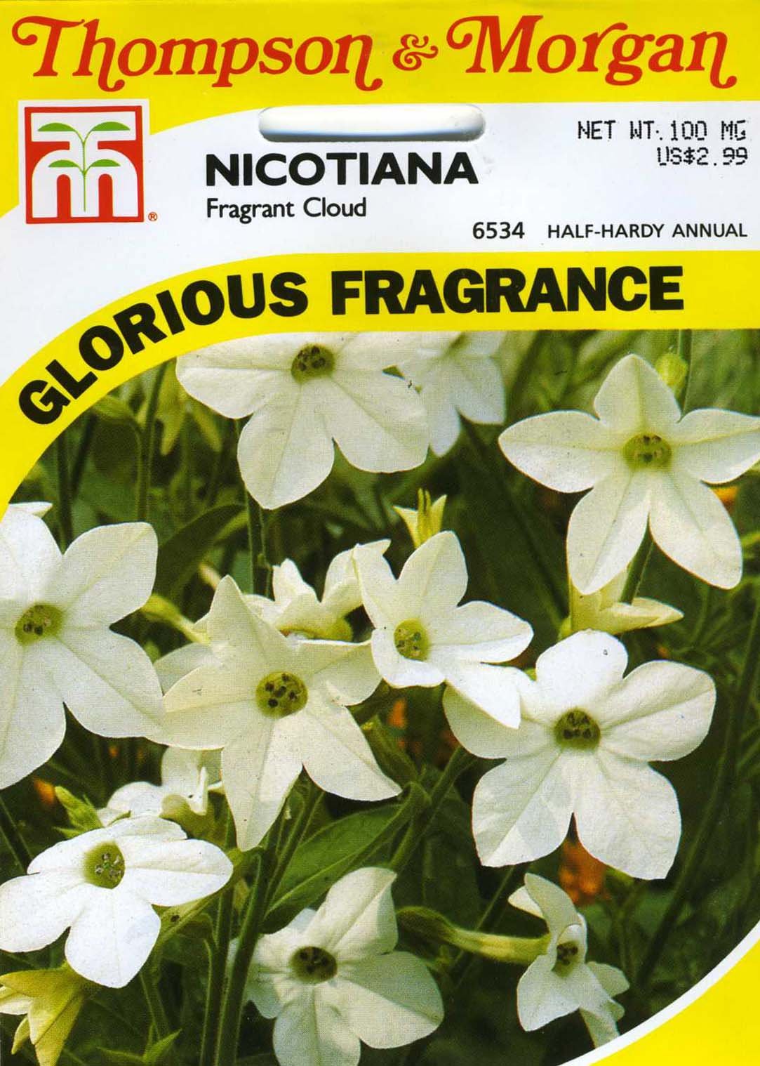 Nicotiana X Sanderae Fragrant Cloud Seeds by T and M