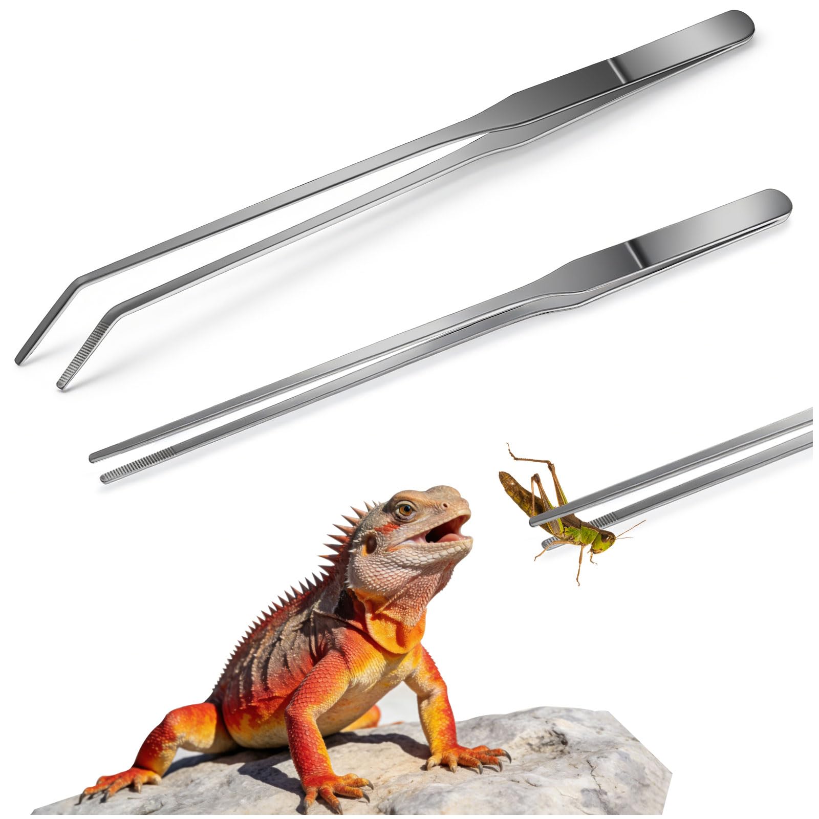 Noviatrix 2 Stück Aquarium Pinzette, 27 cm Lange Pinzette Edelstahl Schützt die Finger Reptilien Futterzange Geeignet für Eidechsen, Spinnen, Schlangen und die Fütterung im Aquarium (Silber)