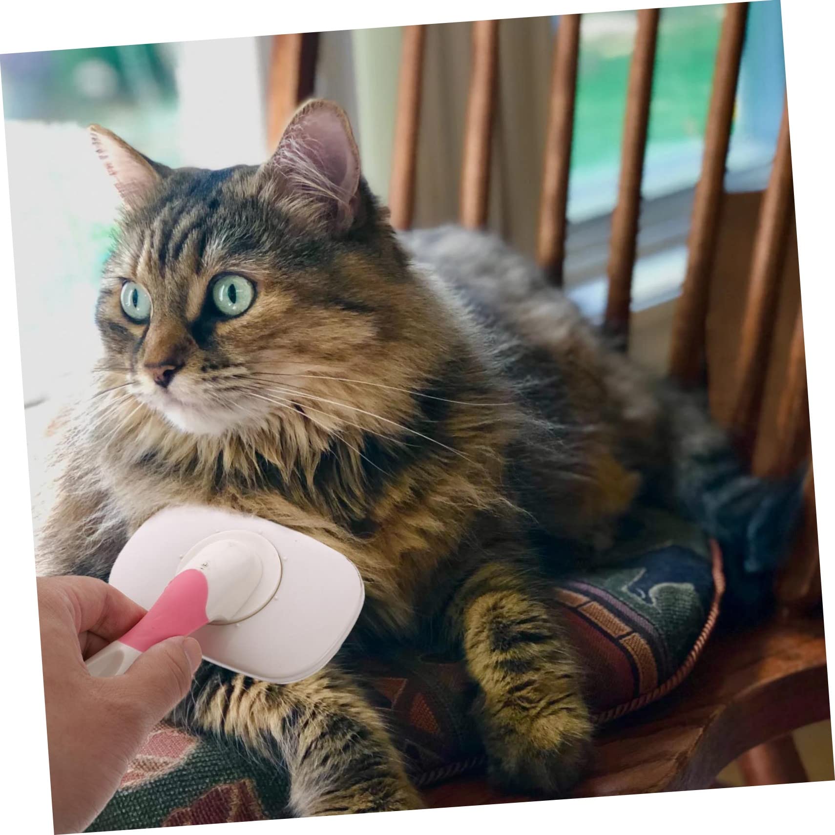 FRCOLOR 3piezas Cepillo De Masaje Para Mascotas Cabeza Giratoria Cepillo De Limpieza Para Perros y Gatos Accesorio Ergonómico Para Cuidado Del Pelaje Paraiminar Pelo Muerto y Flotante