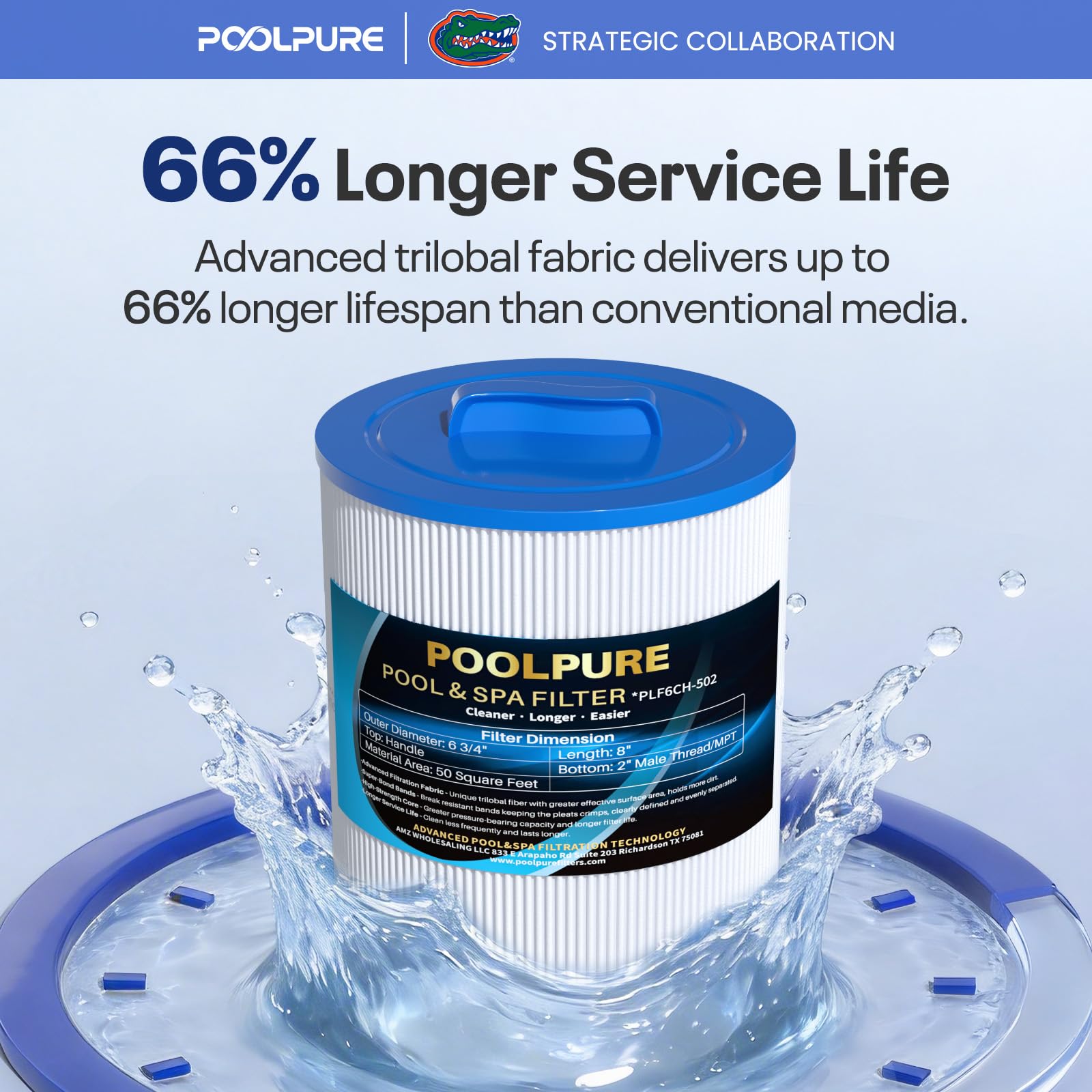 POOLPURE Lot de 2 filtres de Rechange pour Spa PAS50SV-F2M, Unicel 6CH-502, Filbur FC-0311, Philter 60506, Excel Filters XLS-604, Baleen AK-90161, Magnum AR50, Master Deluxe M60506