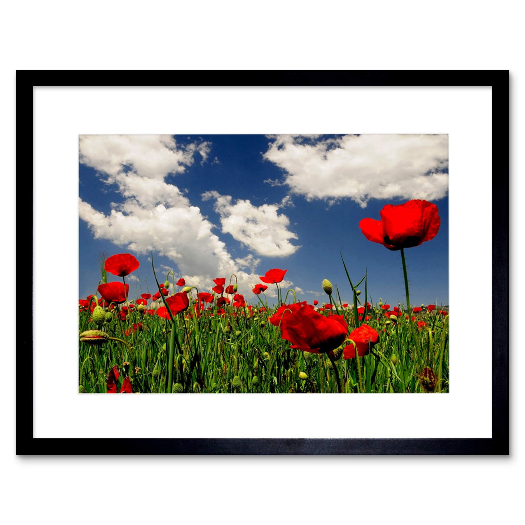 Wee Blue Coo POPPY FIELD CLOUDS SKY BELGIUM SOMME BLACK FRAMED ART PRINT PICTURE B12X9154