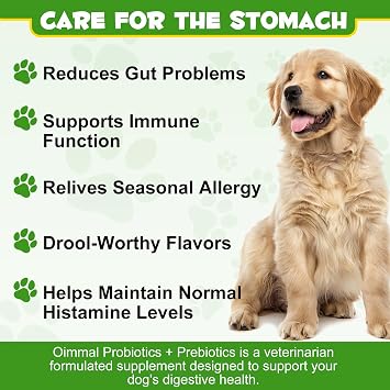 Probiotic Powder for Dogs, Dog Pre and Probiotic Supplement for Gut Health, Digestive Support, All Ages and Breeds with Sensitive Digestion((1 Pot (120g))