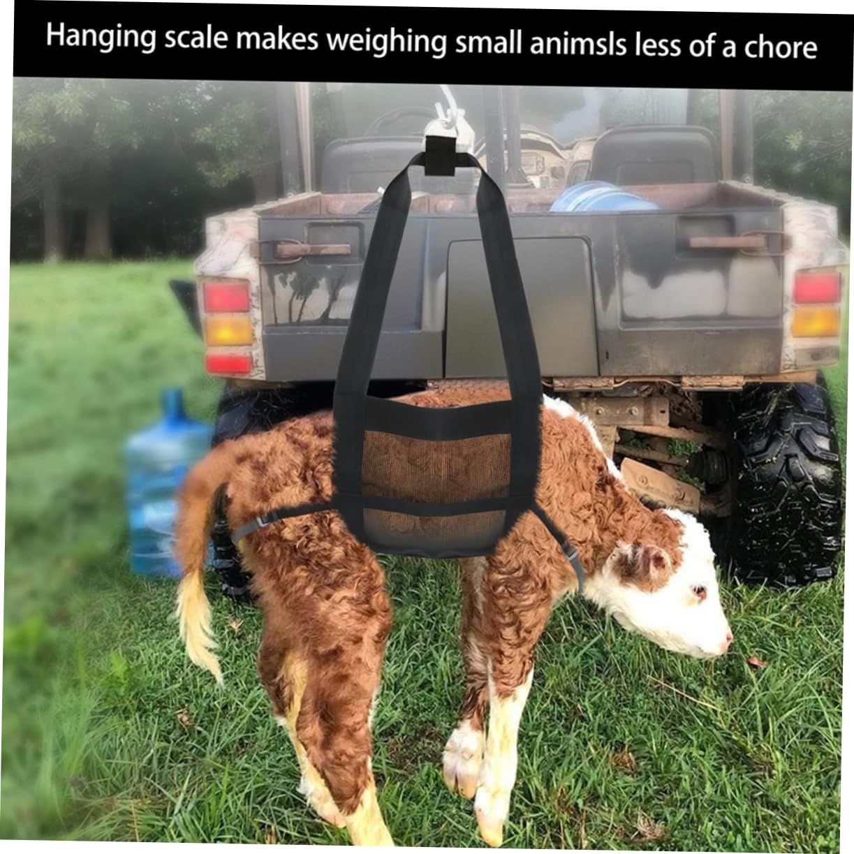 Toyvian Weighing Sling for Small Animals Breathable Mesh Calf Weigh Lift Hammock Reusable and Practical Pet Weighing Supply for Accurate Weight Measurement for Livestock and Pets