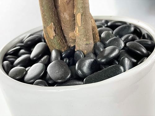 Miniatura 6 de KAYSO INC Rocas de río polacas de tamaño de grava de 38 pulgadas para jardín, decoración del hogar, adornos de plantas, rellenos de jarrón y