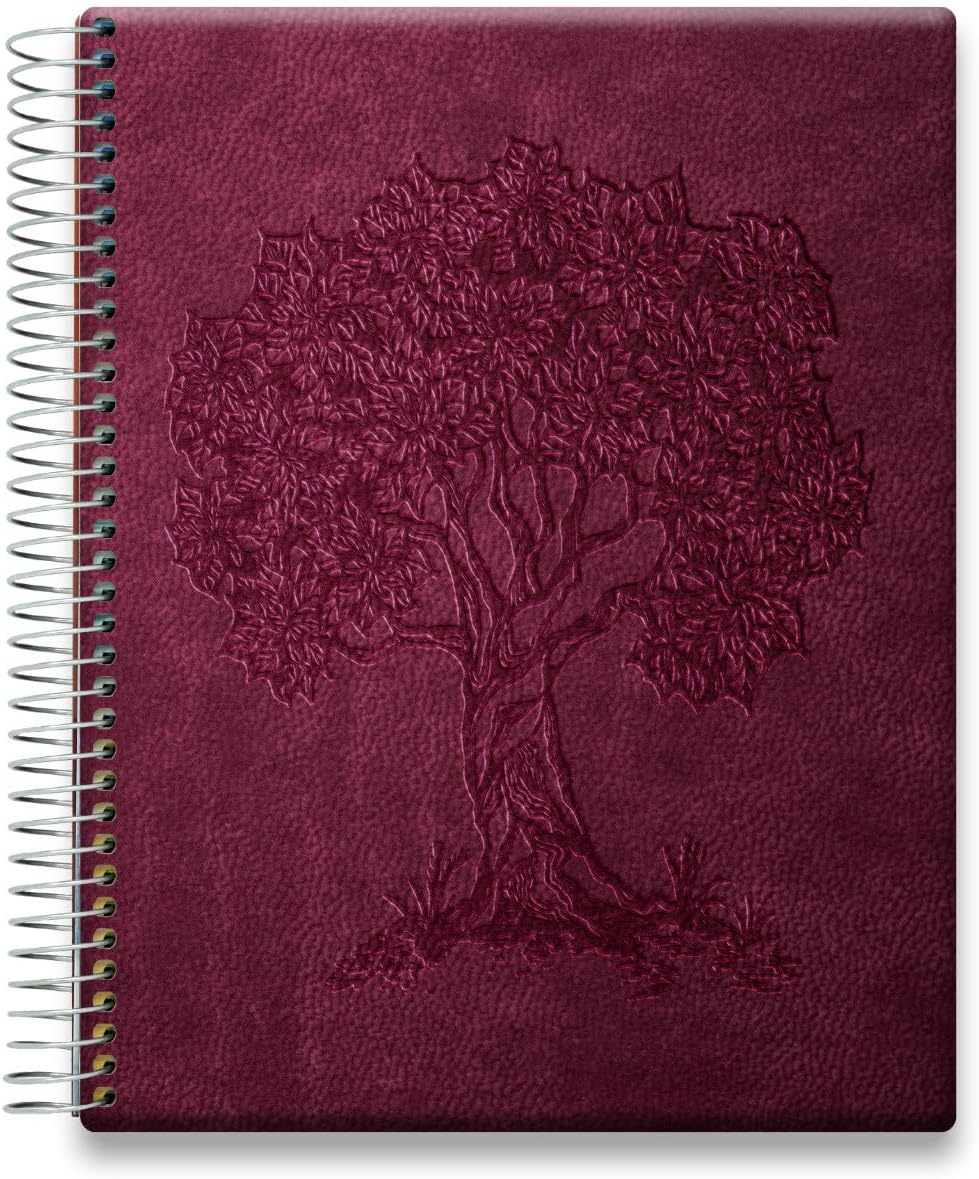 Tools4Wisdom Planner 2026-2027 - Dated April 2026-2027 June - Weekly Monthly Daily Academic Year Calendar with Stickers, Tabs, Pocket & Thick Paper - Spiral Bound 8.5x11 Hardcover - A6J7 - Cherry Tree