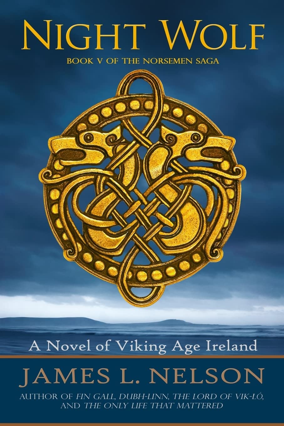 Night Wolf: A Novel of Viking Age Ireland: Volume 5 (The Norsemen Saga)