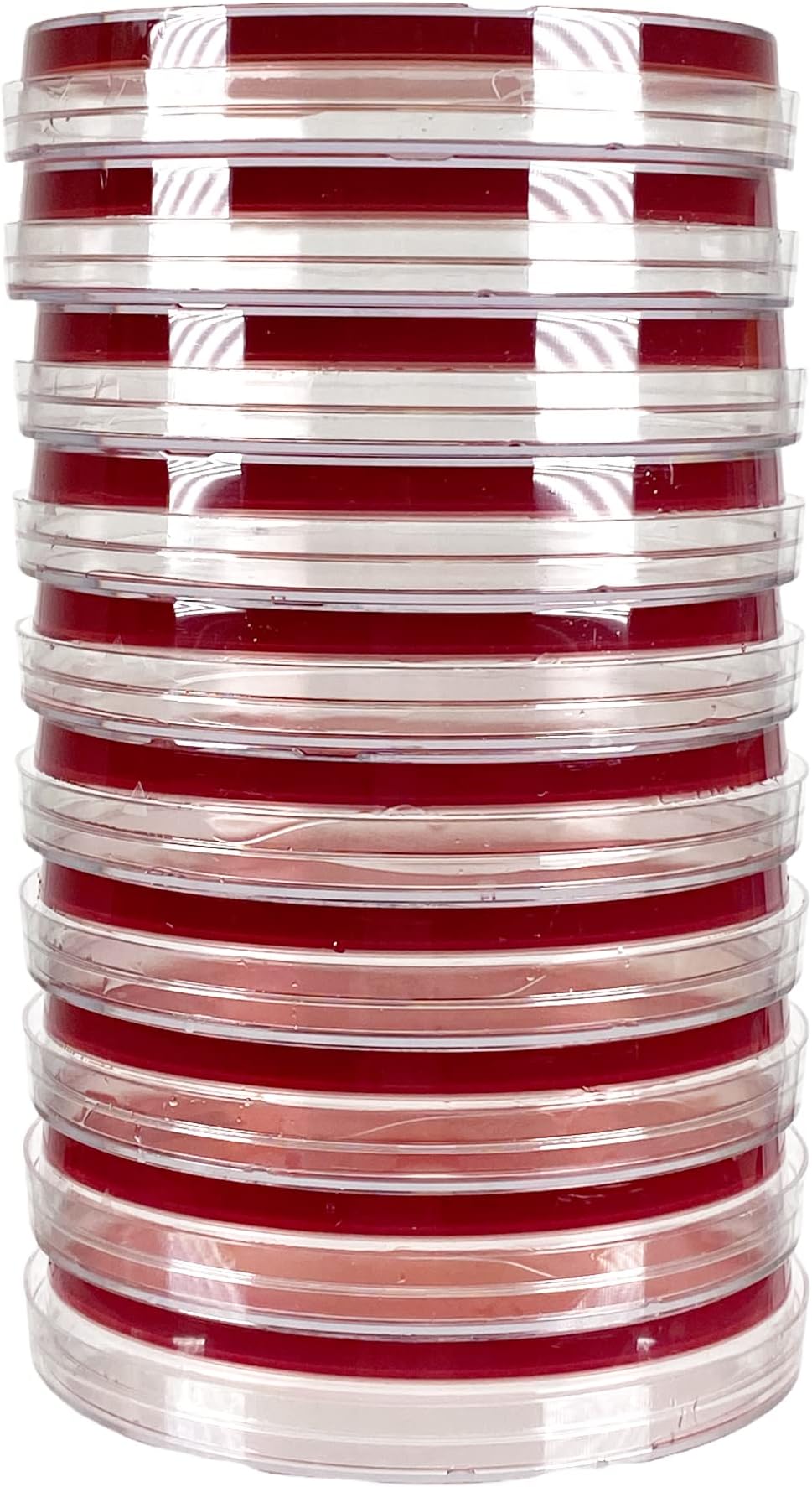 Pre-Poured Agar Plates | 15mm x 100mm Petri Plates | Made in USA (Blood Agar (TSA w/ 5% Sheep Blood))