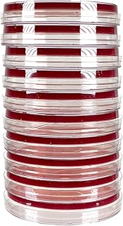 Red Blood Agar (RBA), TSA with 5% Sheep Blood (10-Pack). Pre-Poured, 15x100mm Plates. Used to Detect Hemolysis.