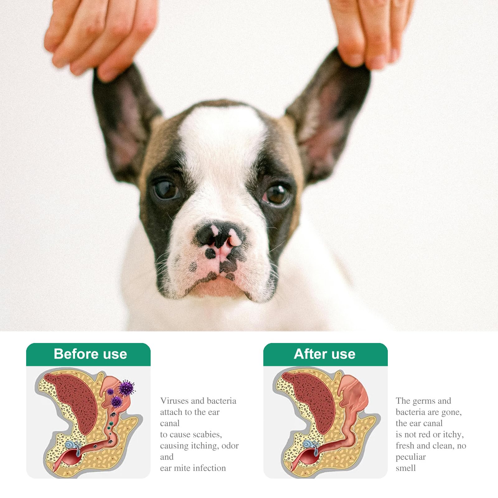 Haustier-Ohrentropfen für Katzen und Hunde, Ohrenreiniger Hund, Haustier Ohrmilben Reinigung und Schutz, Gegen schlechte Gerüche, Juckreiz,Wiederherstellen des Gehörkomforts für Haustiere, 20 ml