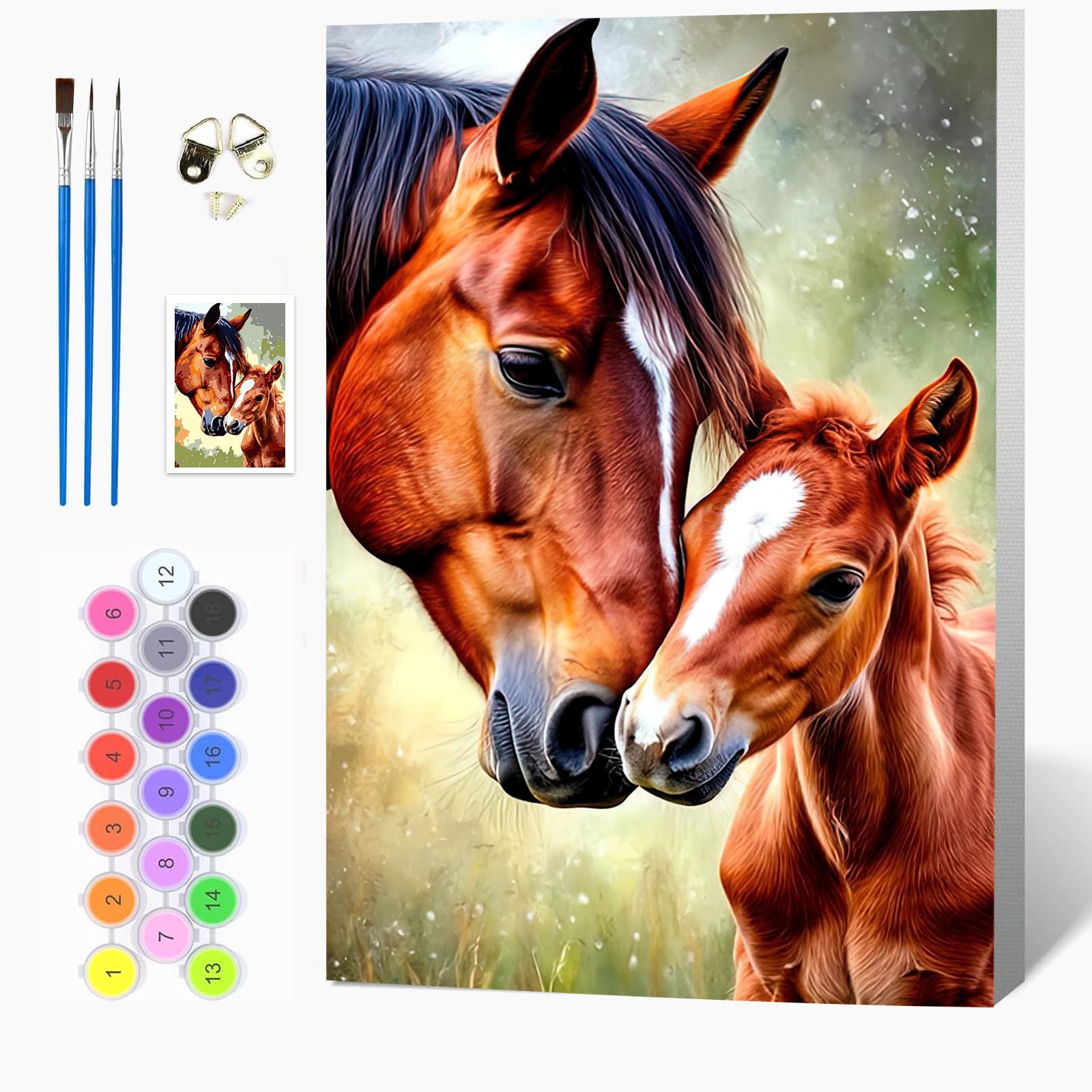 Auremi Horse Paint by Numbers Kits for Adults Kids,Animal Painting Kits for Beginners On Clear Symbols Canvas with Wooden Framed, Easy DIY Acrylic Pigment Drawing 20x30cm