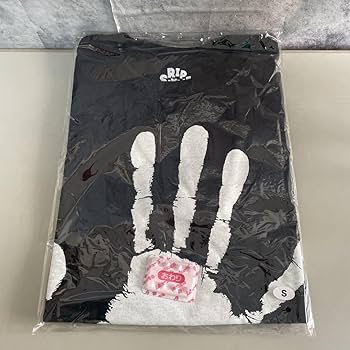 風とリップ Tシャツ Lサイズ 黒 RIP SLYME リップスライム リップスライム RIP SLYME ミュータントタートルズ Tシャツ