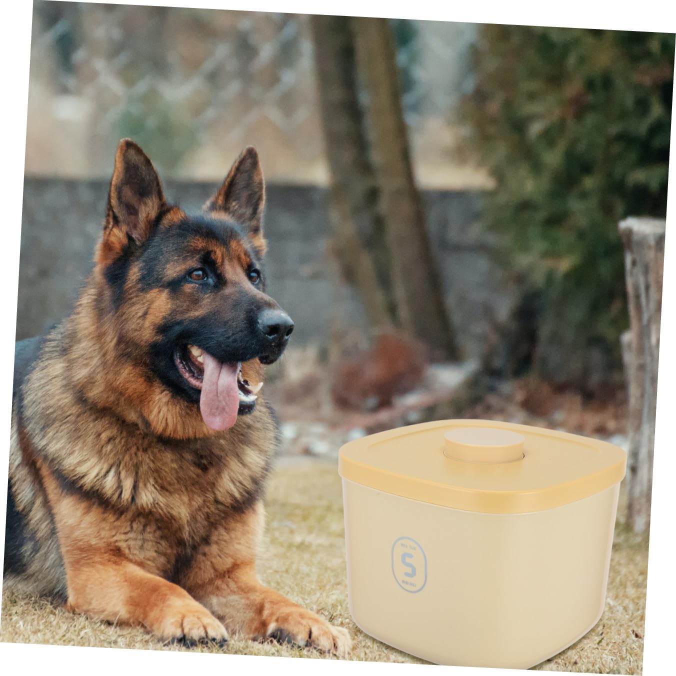 Vacuum Sealed Pet Food Storage Bin Small Capacity Airtight Cat Food Bin Moisture-proof for Home and Travel