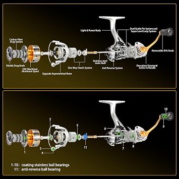 SeaKnight Speedy Saltwater Spinning Reel, 6.2:1 High Speed, Max Drag 24Lbs, Smooth Fresh and Saltwater Fishing Reel