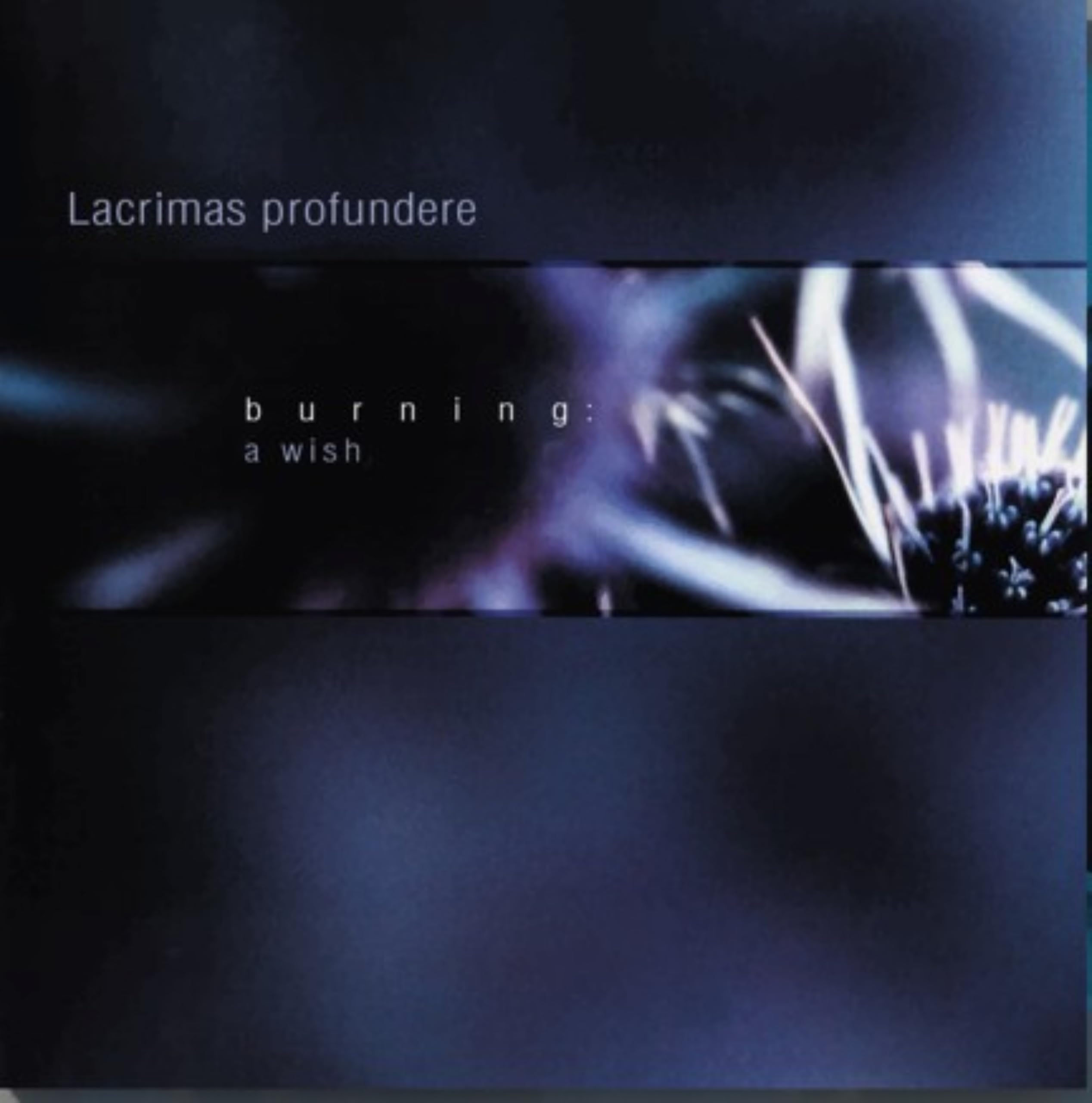Burning: A Wish [VINYL]