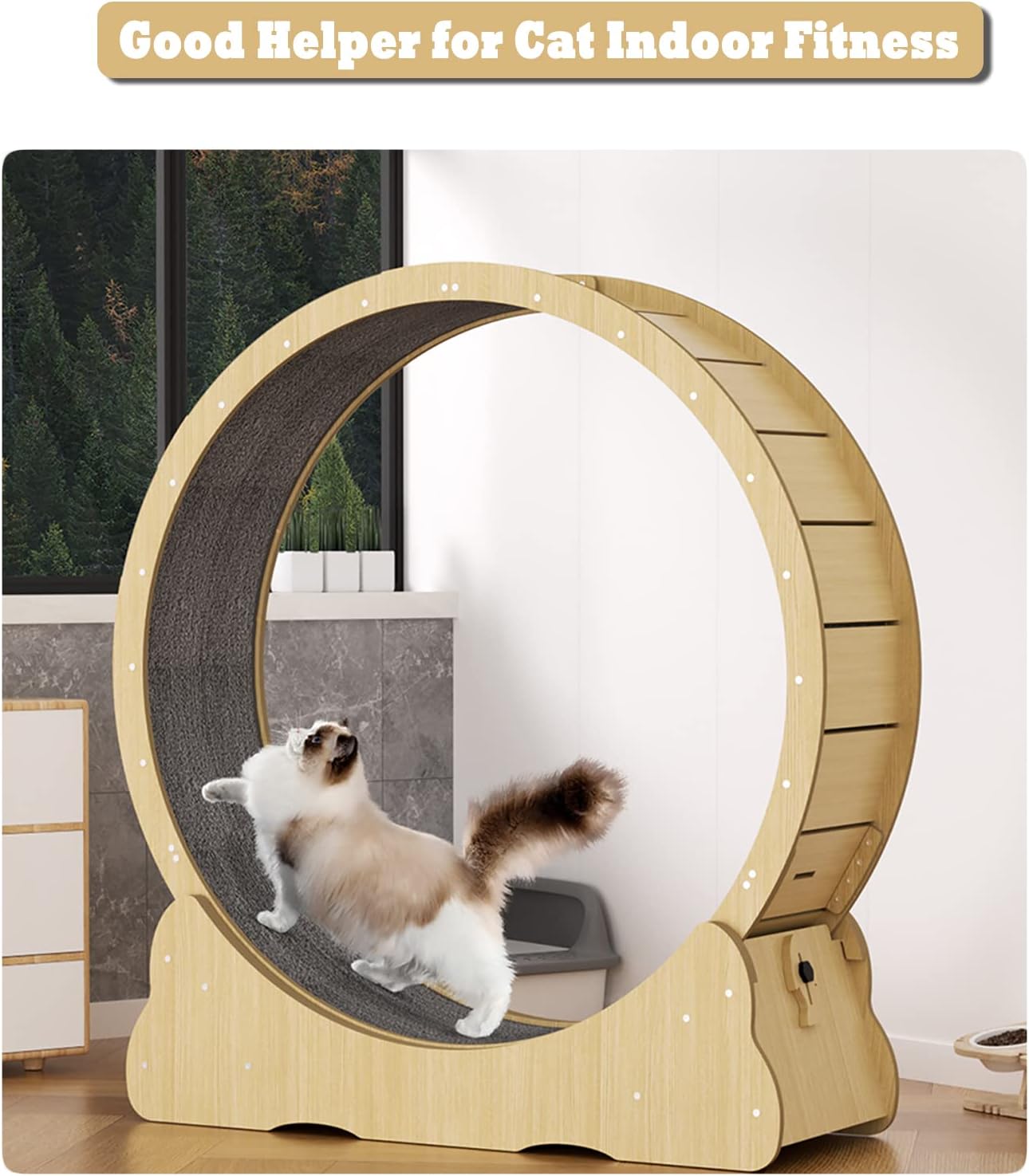 Cat Running Wheel Cat Wheel Round Wheel Style Cat Exercise Wheel Cat Toys,Kitten Toys, Indoor Cat Toys CAT Exercise Wheel with Carpet Runway (93×32×15cm, Wood Color)