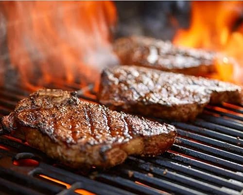 Miniatura 3 de Pegasus Premium Variety Pack Kinder's Prime Steak Seasoning 7.9oz (paquete de 2) y Pegasus Premium Brands 3 Step Tapa Tapa