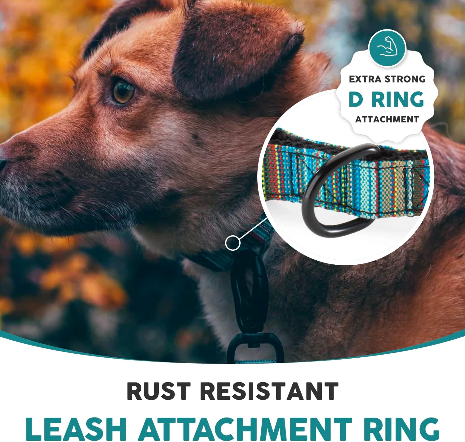 Embark Urban Dog Collar and Leash Set – Boho Dog Collar for Small Dogs with Strong Buckle and Matching 4 Ft Leash, Waterproof, Comfortable, and Perfect for Adult Dogs