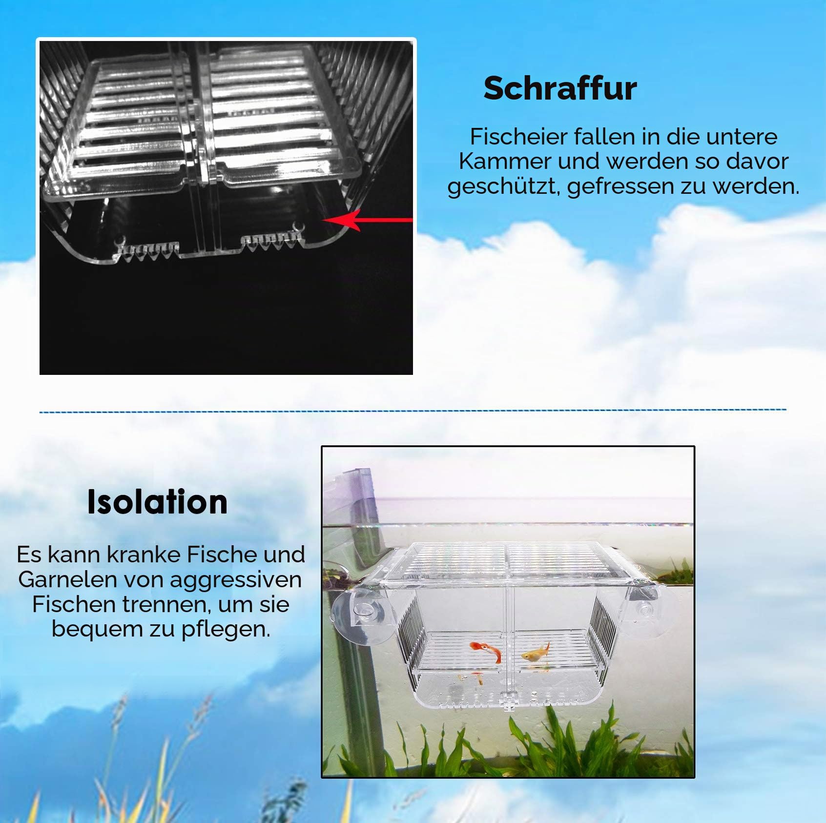 capetsma Fischzuchtkasten, Acryl Fisch-Isolationsbox mit Saugnäpfen, Brutkasten für die Aquarienanpassung für Babyfische, Garnelen, Clownfische und Guppys Kleine Größe.