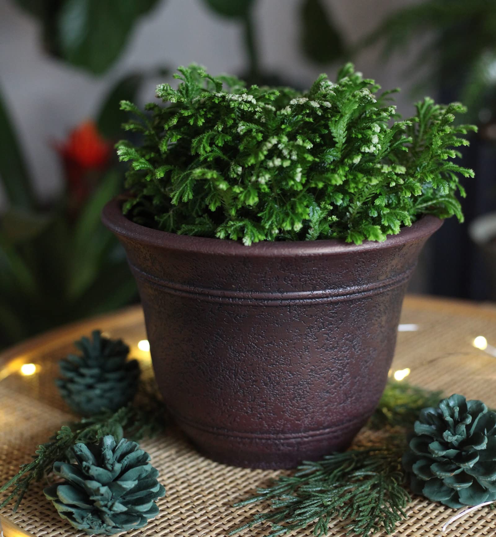 HC Companies 13 in. W Sierra Planter Bronze Round Nordic Planter (2