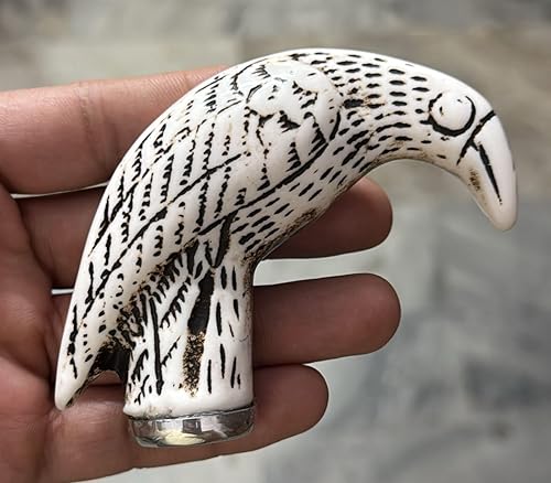 Zubaida Nauticals Mango de cabeza de cuervo de cuervo de latón macizo en relieve antiguo para bastones de bastón, color dorado