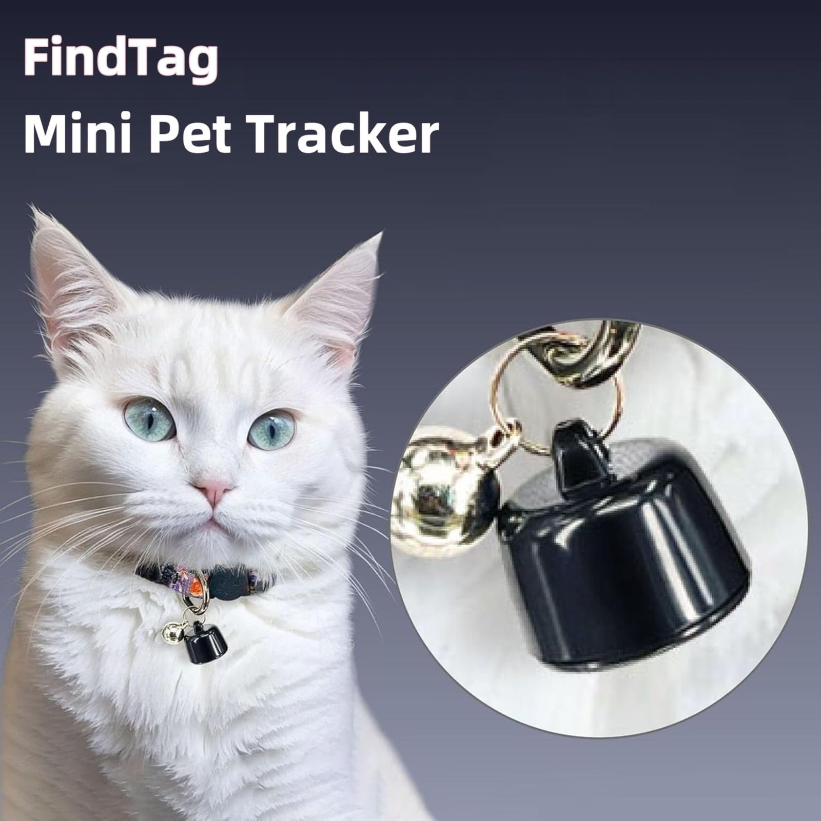 Générique Collier Traceur GPS pour Chat & Chien — Mini GPS Intelligent Étanche P23 — Suivi Mondial sans Abonnement — Compatible iOS Android — pour Tout Collier — Localisation Anti-Perdition (B)