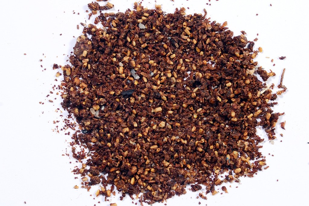 RK Seeds - Kadam tree Seed -Neolamarckia cadamba - seeds- (Anthocephalus cadamba Seed) Pack of 50 g