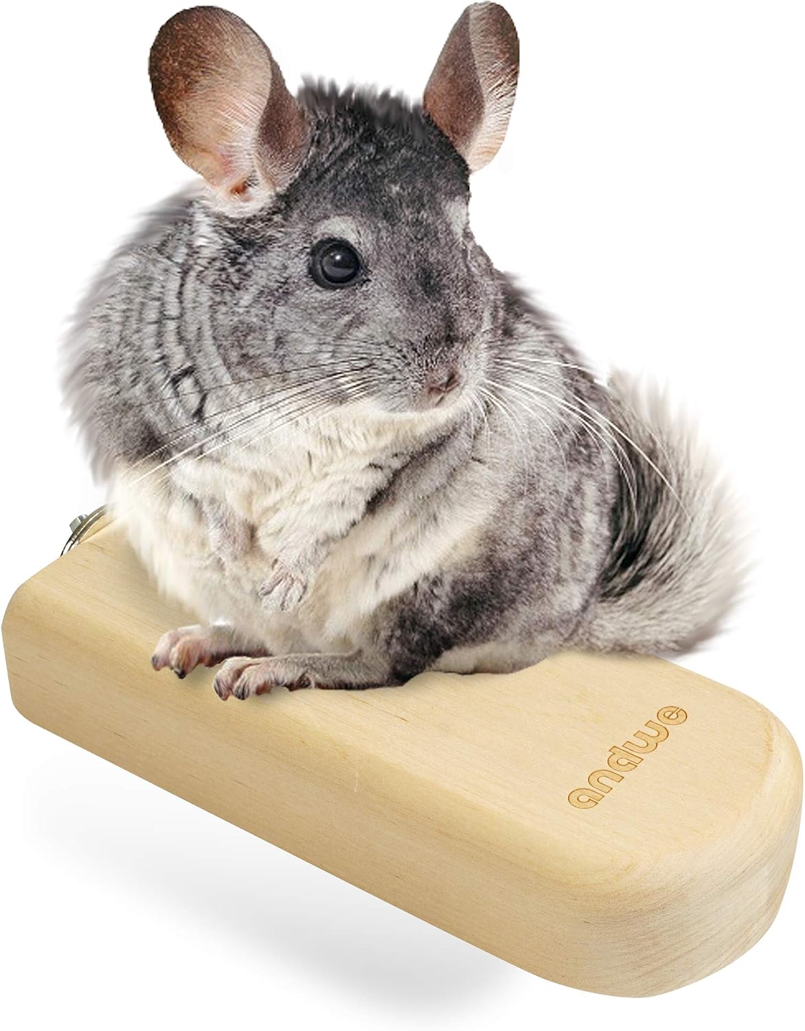 andwe Chinchilla Climbing Ledge Wooden Platform Bird Perches Stand for Chinchilla Sugar Glider Rats Parrot Parakeet - Small Animals Cage…