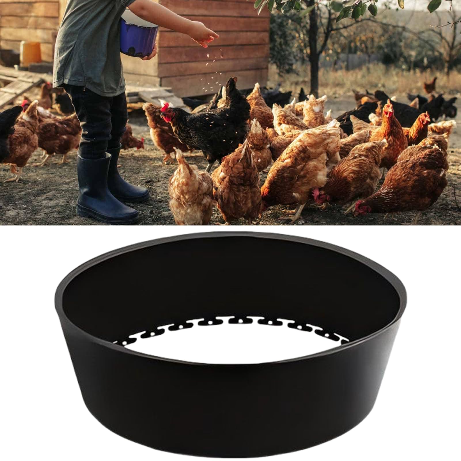 Bagno di Polvere per Galline Pollaio Regolabile 63Cm Pollame