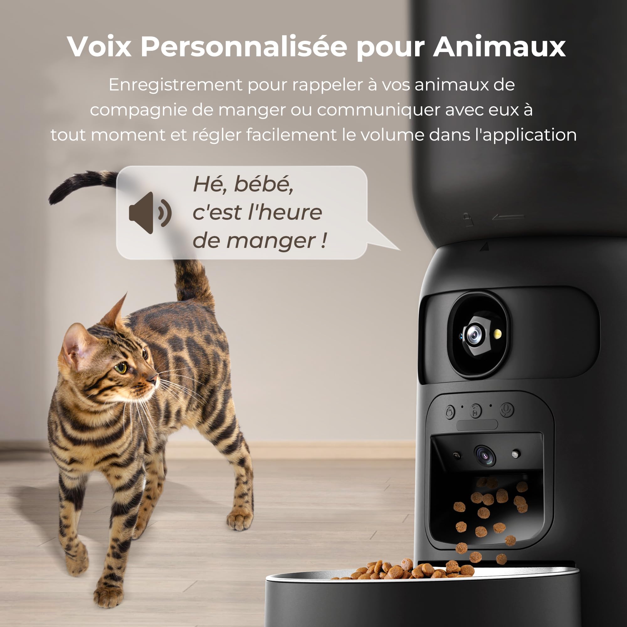 Distributeur Croquettes Chat Automatique, WiFi Caméra, Bol Inoxydable, Programmable & Portionnée, Batterie de Secour - PF4 Noir - Vision Suivi, Mode de Repas Lent