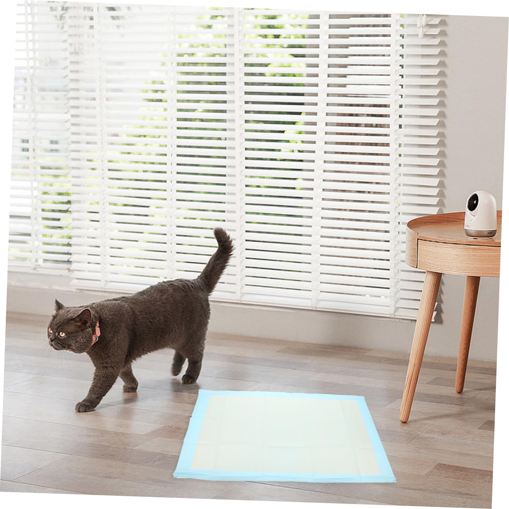 GALPADA 50 Pezzi Tappetini Igienici Assorbenti per Cani e Conigli Tappeto Addestramento Animali Domestici Super Assorbente per Cuccioli e Piccoli Pet Uso Singolo per Viaggi e Casa