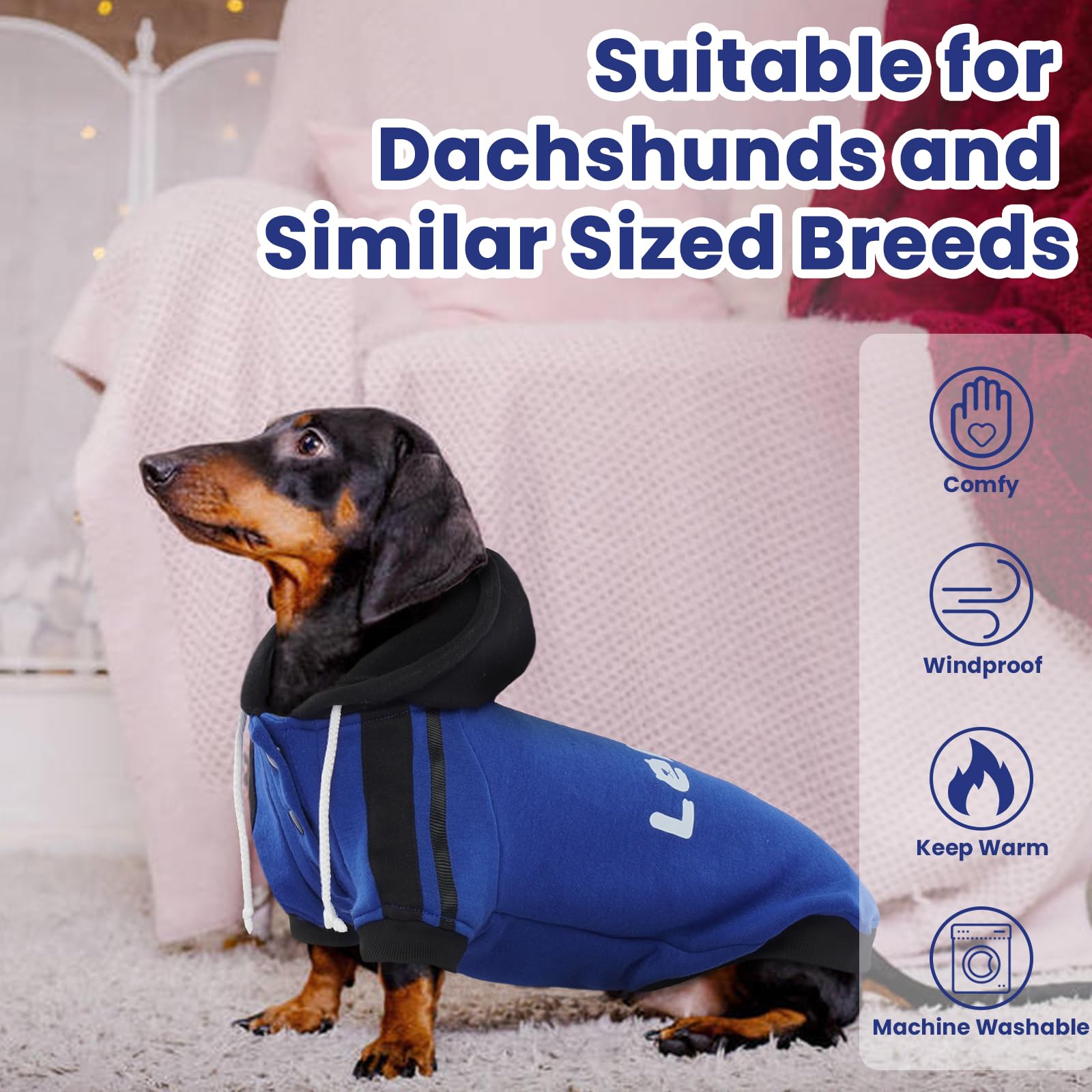 Lelepet Chandail à Capuche pour Teckel - Manteau Chaud en Polaire de Coton, Pull Imprimé pour Chiot, Tenue d'Hiver Douce, Bleu