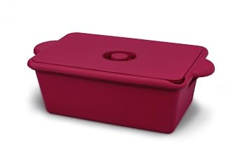 Heathrow Scientific HS28729R True North Cool Container 9L Ice Pan, Red