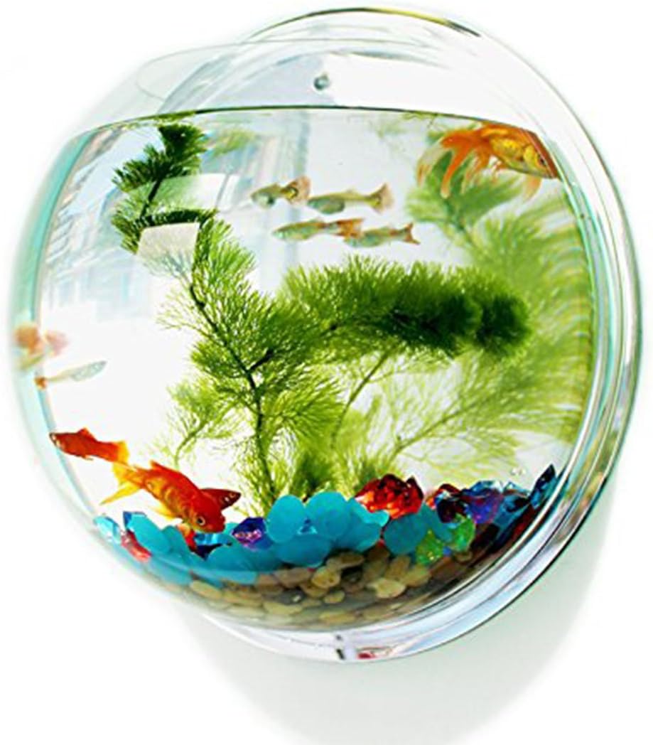 KINGSUNG Creative Acrylic Round Wall Mounted Hanging Fish Bowl Aquarium Tank for Gold Fish and Beta Fish Plant Vase Home Decoration Pot