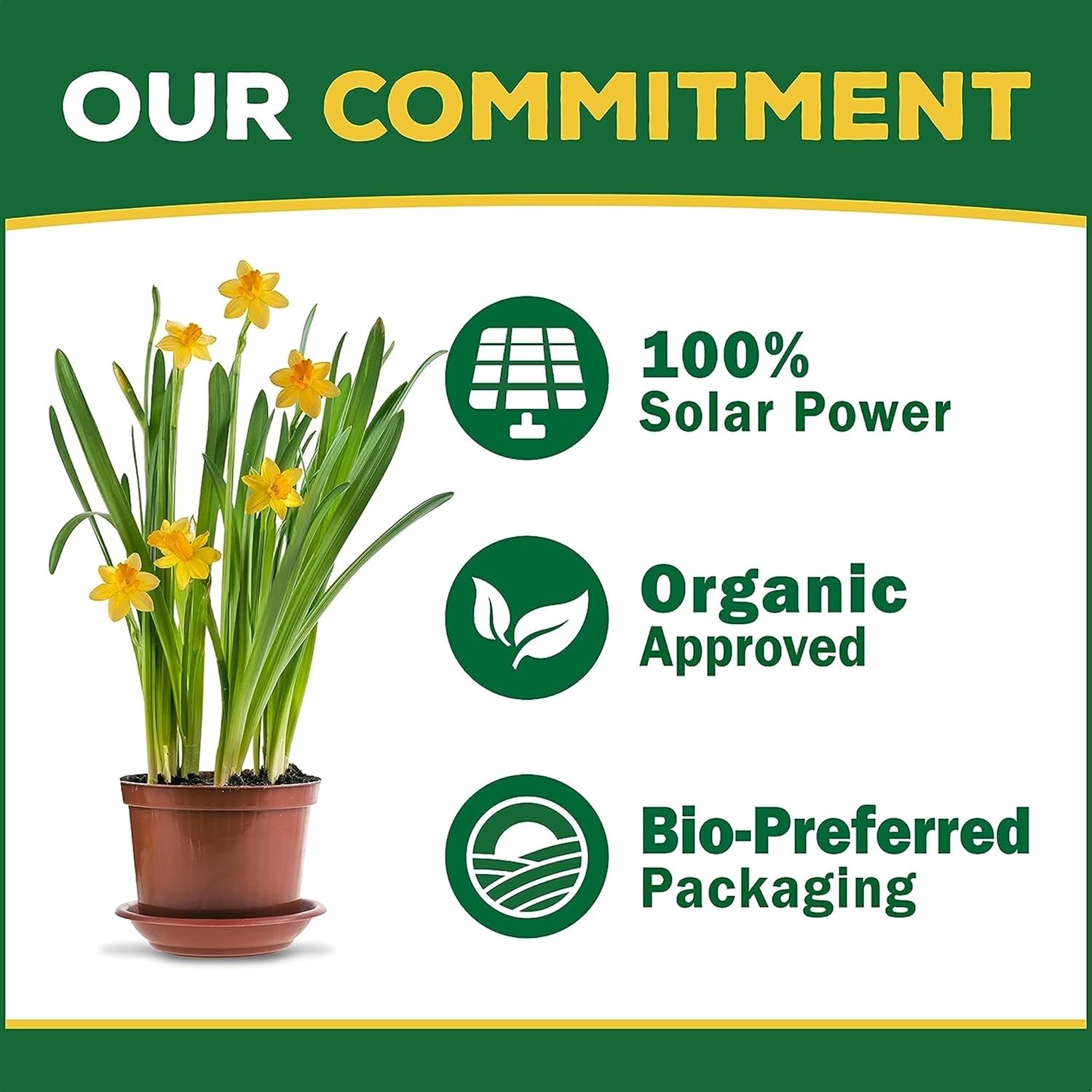 Espoma Organic Plant-Tone 5-3-3 Natural & Organic All Purpose Plant Food; 4 lb. Bag; The Original Organic Fertilizer for All Flowers, Vegetables, Trees, and Shrubs. Pack of 3