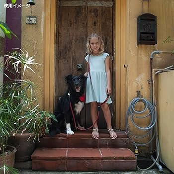 Amazon | HIGH5DOGS クリックショルダーリード 11mm チャコール