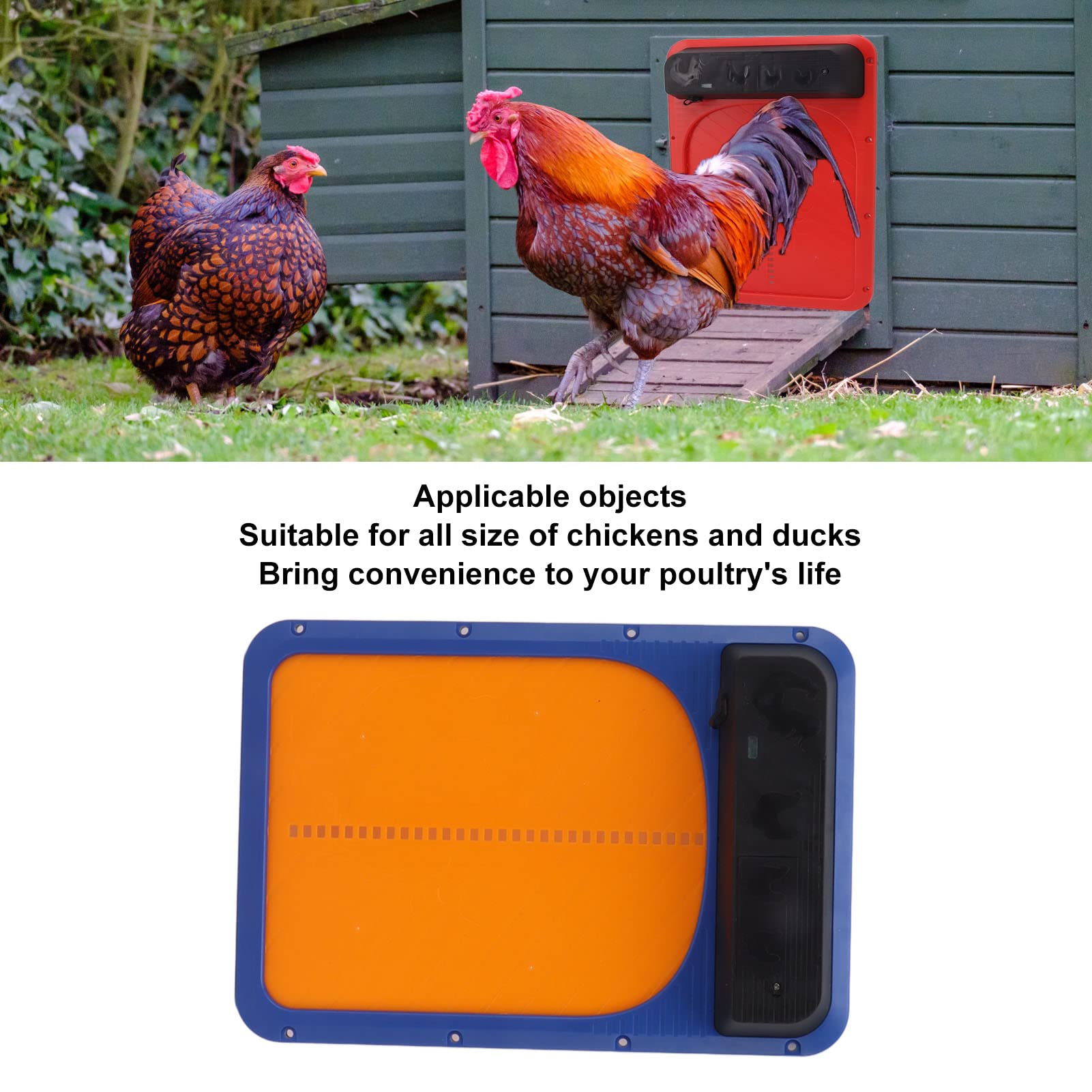 Puerta automática de gallinero con energía solar, abridor automático de puerta de pollo con sensor de luz y panel solar, puerta automática de gallinero con pilas para aves de corral (azul amarillo)