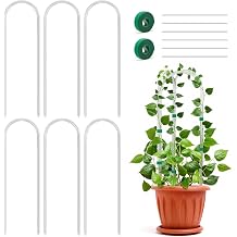 6 Pack U-Shape Acrylic Plant Trellis for Indoor Climbing Plants, 16 Inch Small Plant Trellis, Potted Plant Climber Support for Pothos, Vine Ivy, Houseplant