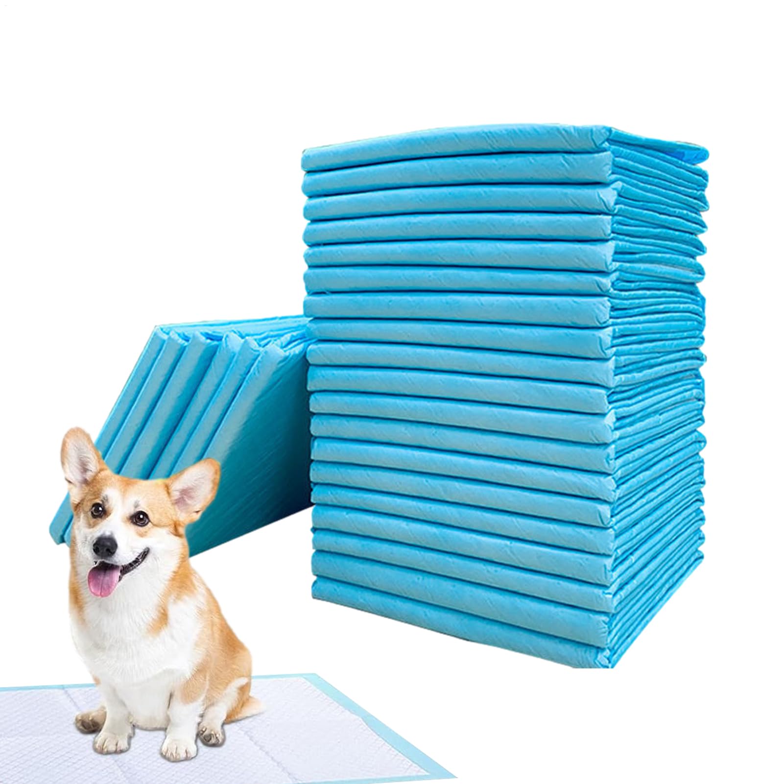 Wee Wee Lot de 100 Tapis d'entraînement pour Chiens, Tapis de Dressage