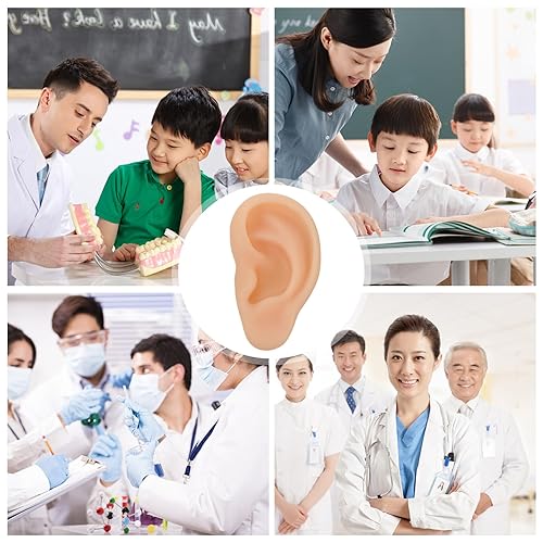 Miniatura 5 de Scicalife Oreja de silicona, modelo de oreja izquierda de silicona, limpieza de oídos, removedor de cerumen, modelo de oreja auténtica (izquierda)