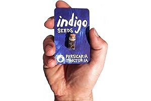 Marijuana Seed Variety Propagation Self-Fertile Pot Seeds