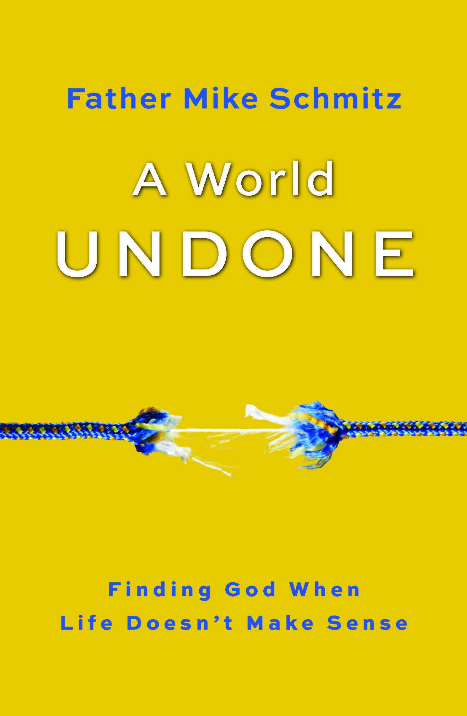Fr. Mike SchmitzA World Undone: Finding God When Life Doesn't Make Sense
