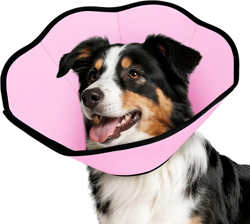 Colar Cone de Recuperação Macio para Cães MIDOG, Ajustável para Pós-Cirurgia – Modelo 351