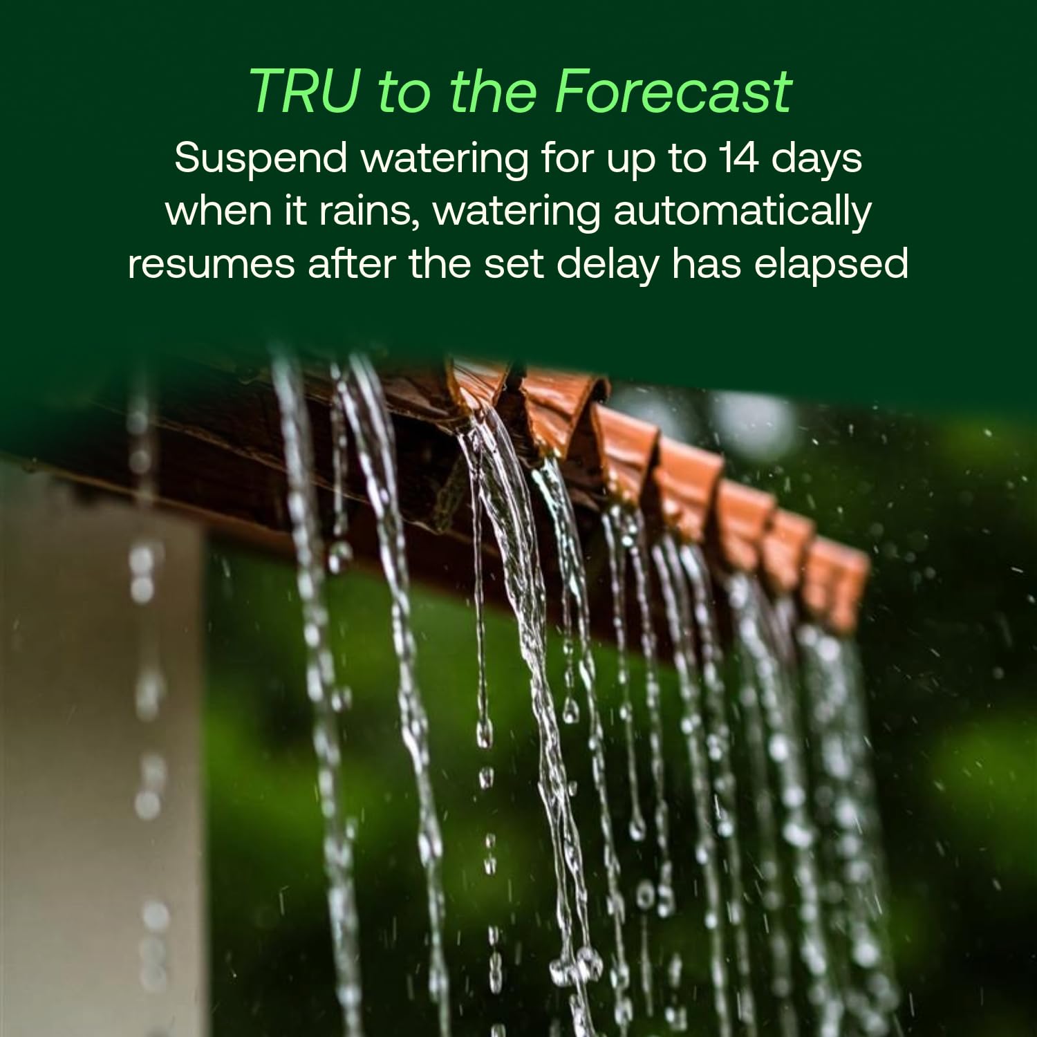 Rain Bird TRU6I Contrôleur/minuteur d'irrigation d'intérieur basé sur programme, compatible WiFi, 6 zones/station