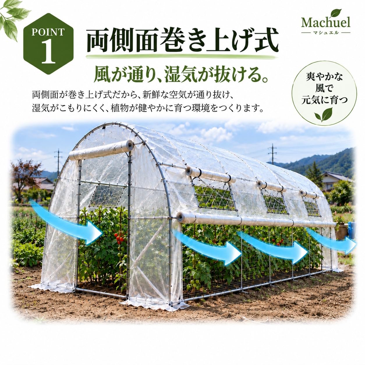 Machuel 322ビニールハウス 両側面巻き上げ式　未使用品 Amazon.co.jp: Machuel 322 ビニールハウス 3m 【2026年進化モデル