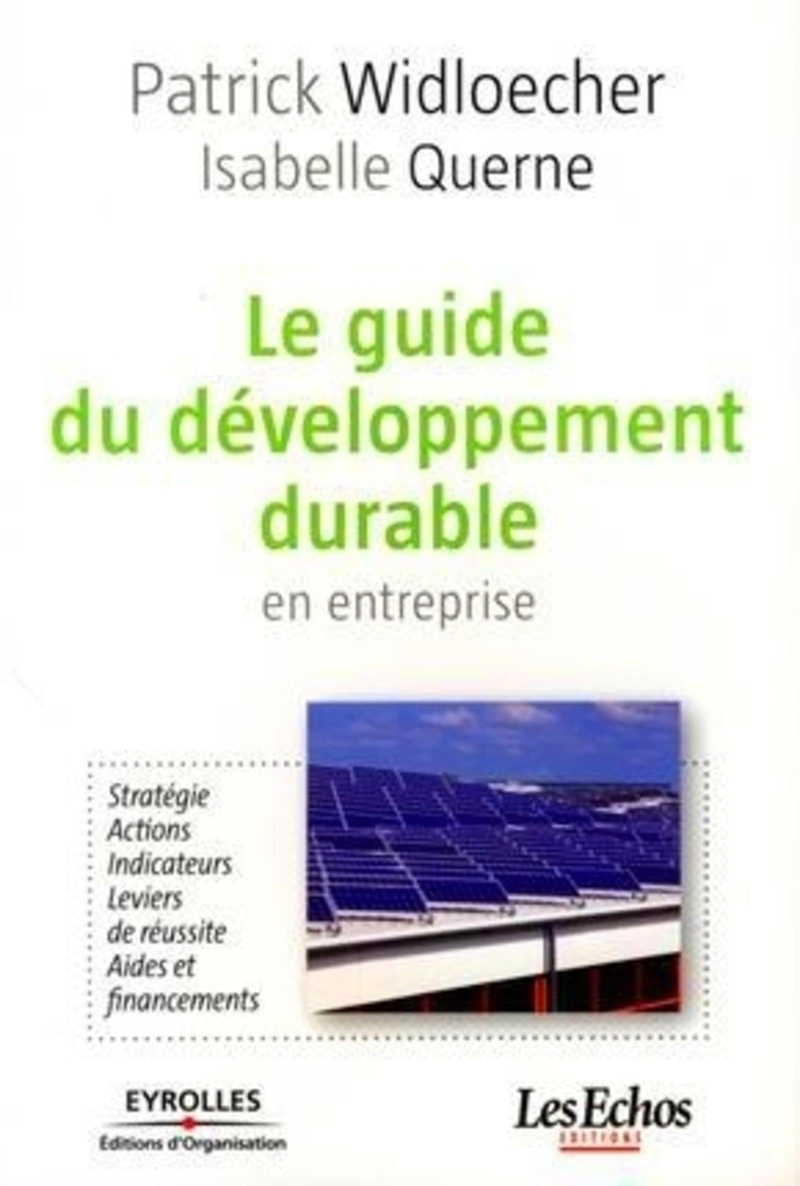 Le guide du développement durable en entreprise: Stratégie. Actions. Indicateurs. Leviers de réussite. Aides et financements.