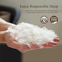 Vista 2 de BPC Edredón ligero de fibra de plumón de ganso tamaño Full/Queen, poder de relleno 750, inserto de edredón esponjoso como nube con funda de mezcla