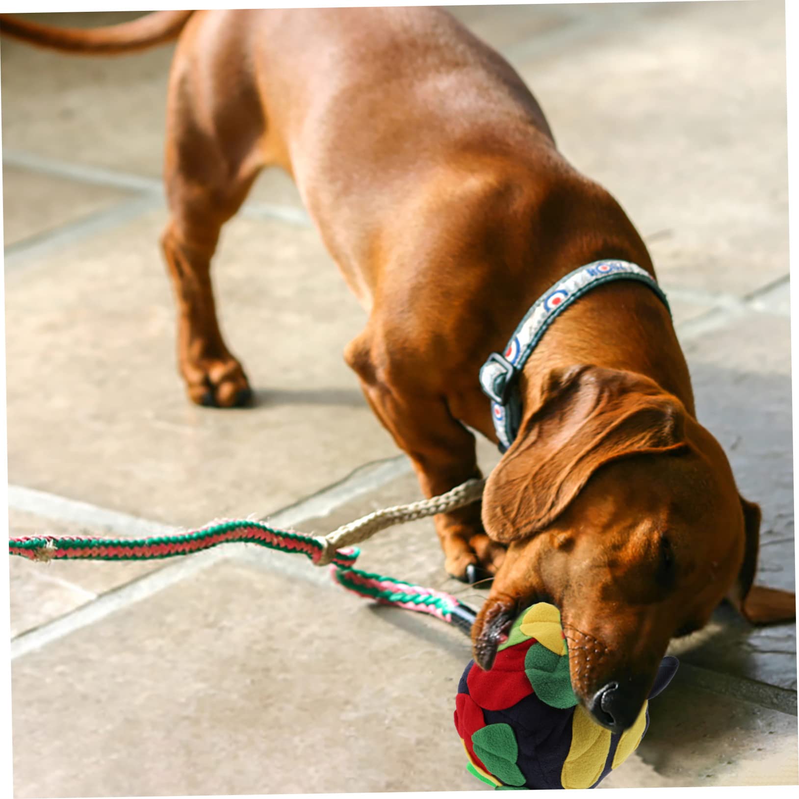 Kisangel 2piezas Pelota De Forrajeo para Perros Juguete Interactivo De Alimentación Lenta para Estimulación Mental y Evitar La Obesidad Retro