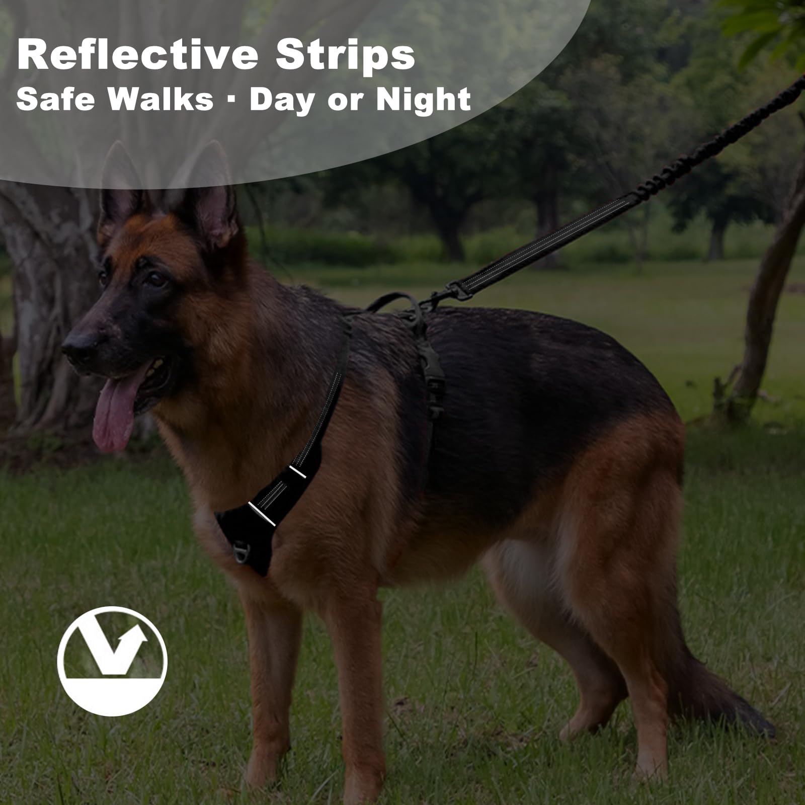 No Pull Dog Harness for Medium Dogs, Adjustable, Reflective Breathable Padded Vest with 2 Metal Leash Clips and Handle for Control or Car Seatbelt Use, Black, M - image 5